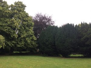 IMG_7181