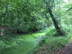 IMG_7251
