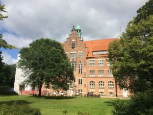 IMG_7401