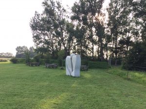 IMG_8893