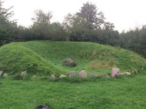 IMG_9450