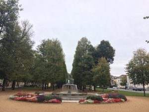 IMG_0050