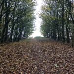 IMG_0451